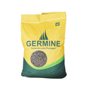 SEMENTES PASTAGEM BRACHIARA BRIZANTHA MARANDU GERMINE 20KG
