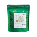 SEMENTES ABÓBORA CASERTA HORTICERES 100G