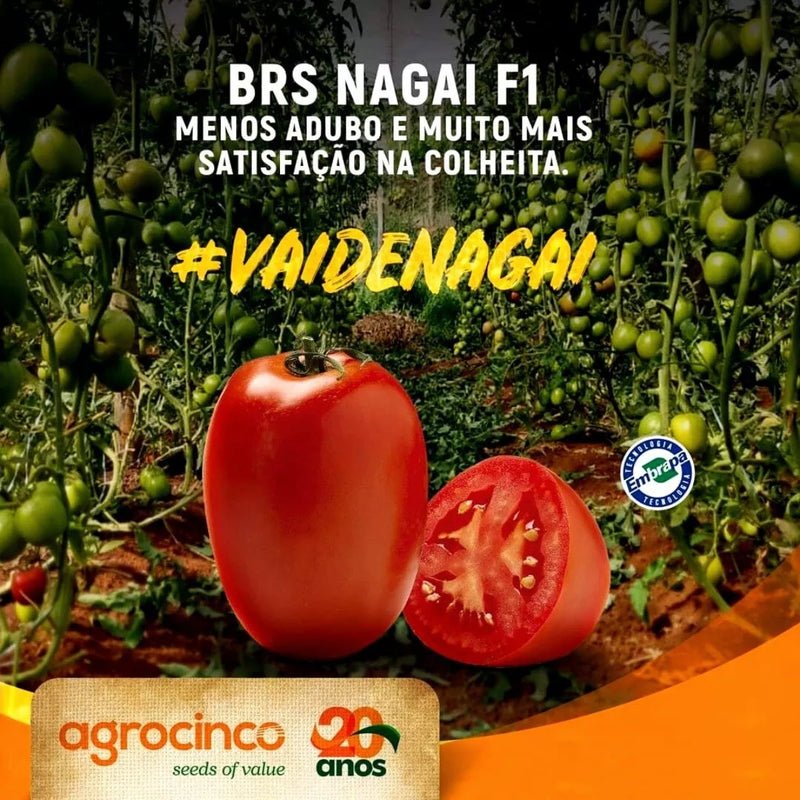 TOMATE HIBRIDO NAGAI AGROCINCO/EMBRAPA 1000 SEMENTES