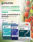 INDUTOR RESISTENCIA QUELATO COBRE SOLOTEK 10 LITROS