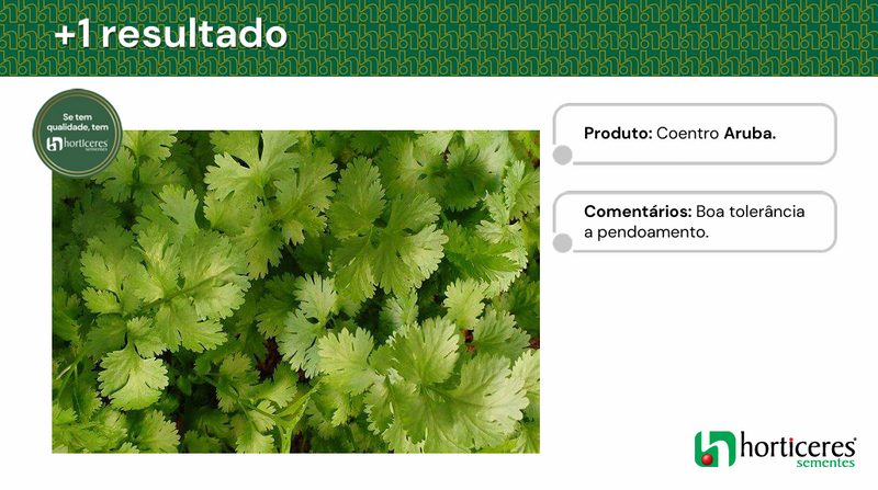 SEMENTES COENTRO PORTUGUES ARUBA HORTICERES 5KG