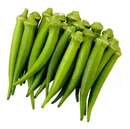 SEMENTES QUIABO SANTA CRUZ 47 TOPSEED 500G