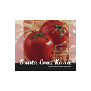 SEMENTES TOMATE SANTA CRUZ KADA GIGANTE FELTRIN 50G