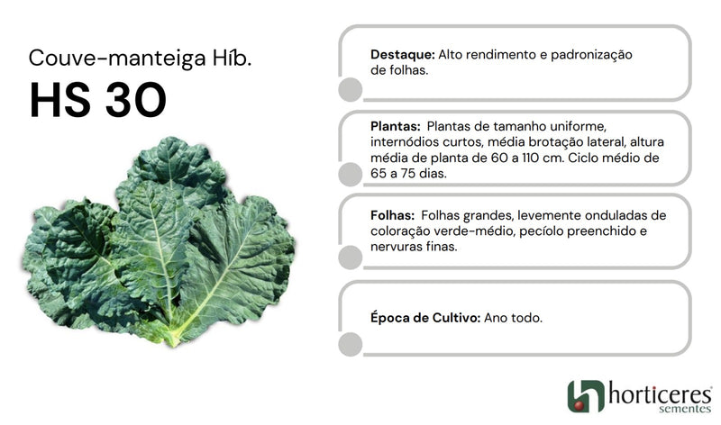 COUVE HÍBRIDA HS30 HORTICERES 25000 SEMENTES