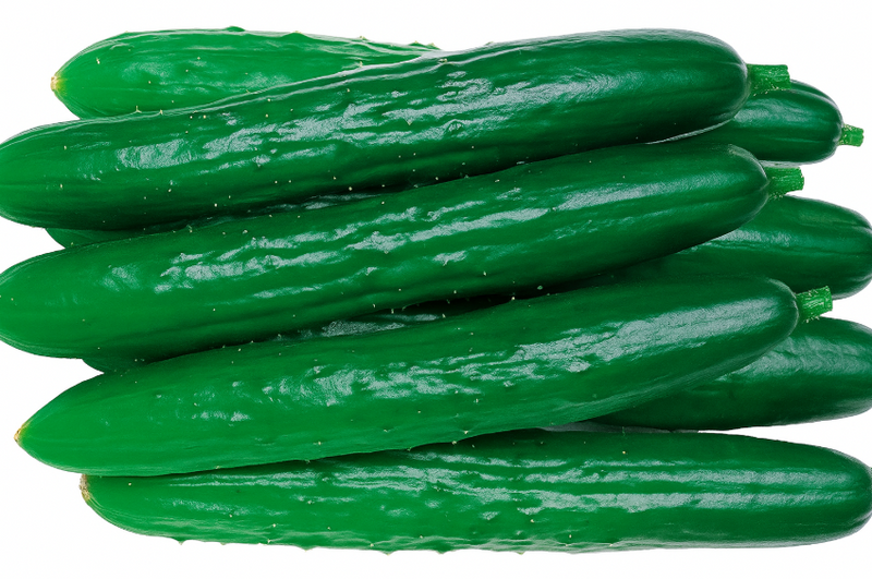 PEPINO JAPONES HIBRIDO HOKUSHIN TAKII SEED 350 SEMENTES