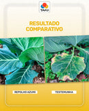 REPOLHO HIBRIDO AZUMI TAKII SEED 2500 SEMENTES