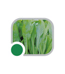 SEMENTES ALMEIRAO SPADONA FOLHA FINA HORTICERES 100G