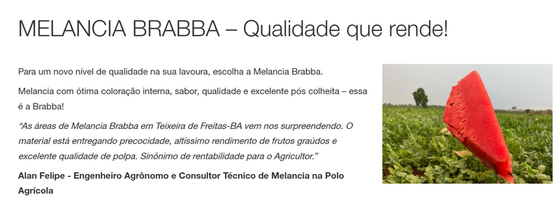 MELANCIA HIBRIDA BRABBA BASF NUNHEMS 1000 SEMENTES