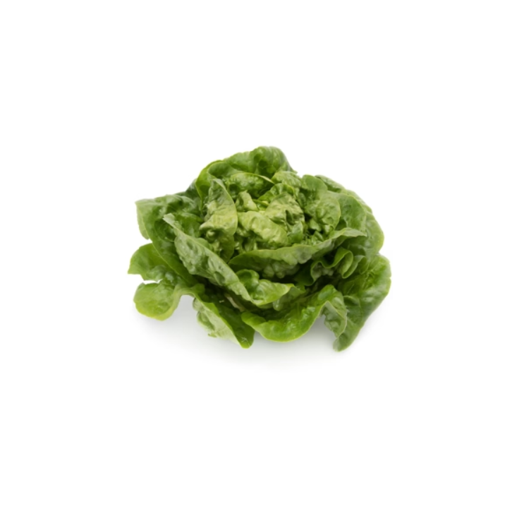 ALFACE MINI ROMANA TUDELA RIJK ZWAAN 1000 SEMENTES