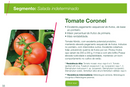 TOMATE HIBRIDO CORONEL SEMINIS 1000 SEMENTES