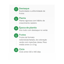 SEMENTES ABÓBORA JACAREZINHO HORTICERES 100G