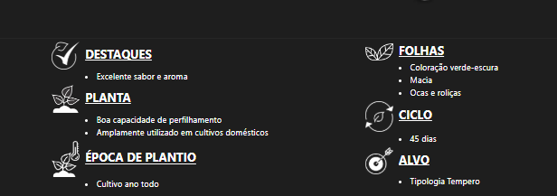 SEMENTES CEBOLINHA TODO ANO EVERGREEN NEBUKA FELTRIN 50G