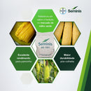 SEMENTES MILHO HIBRIDO AG1051 SEMINIS 1KG