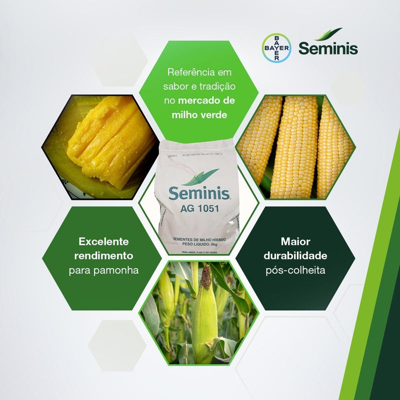 SEMENTES MILHO HIBRIDO AG1051 SEMINIS 1KG