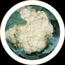 COUVE-FLOR HIBRIDA VERONA CMS 1000 SEMENTES BAYER SEMINIS