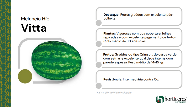 MELANCIA HIBRIDA VITTA HORTICERES 1000 SEMENTES