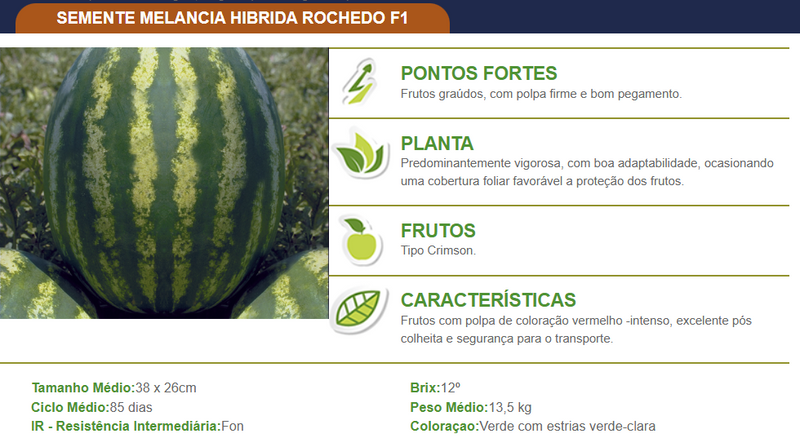 MELANCIA HIBRIDA ROCHEDO F1 TOPSEED PREMIUM 1000 SEMENTES