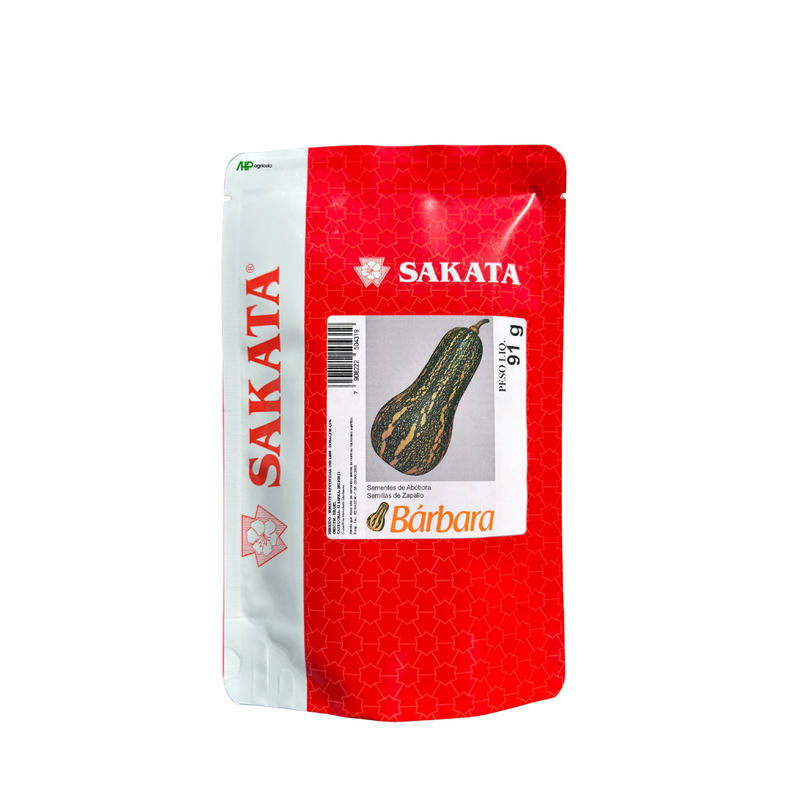 ABOBORA HIBRIDA BARBARA SAKATA 1000 SEMENTES