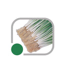 SEMENTES CEBOLINHA IBIRITÉ HORTICERES 250G