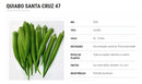 SEMENTES QUIABO SANTA CRUZ 47 FELTRIN 1KG