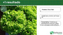 ALFACE CRESPA FABI HORTICERES 5000 SEMENTES