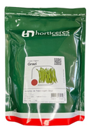 FEIJAO VAGEM TREPADEIRA GRAZI HORTICERES 1KG