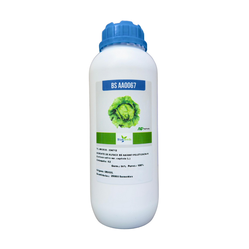 ALFACE AMERICANA BS AA0067 BLUESEEDS 25000 SEMENTES