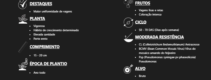 SEMENTES FEIJAO VAGEM DYNAMO FELTRIN 100G