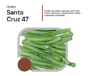 SEMENTES QUIABO SANTA CRUZ 47 1KG HORTICERES