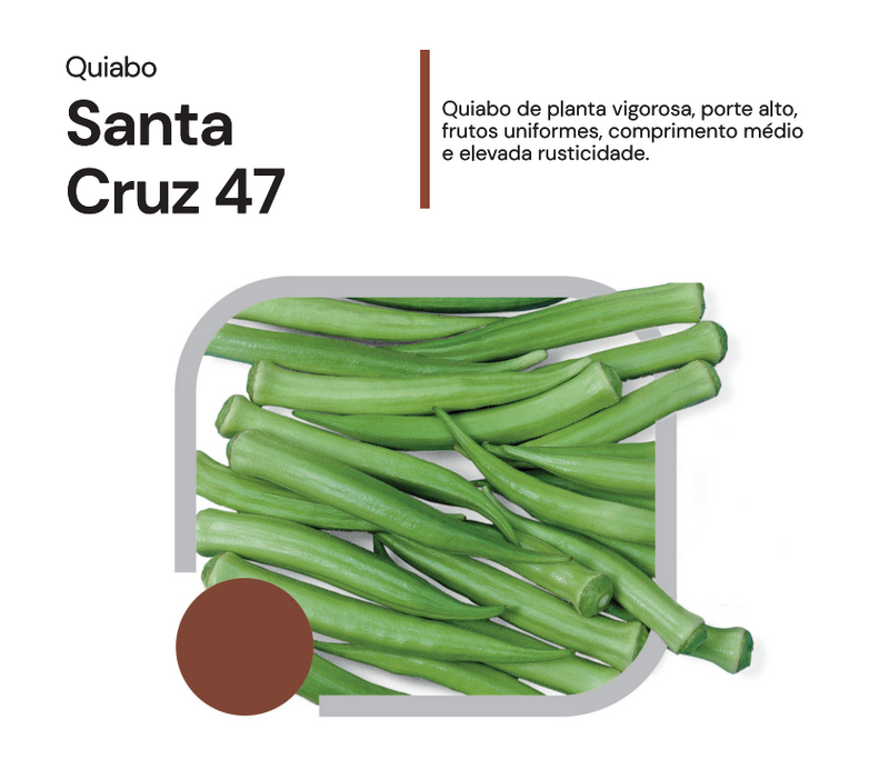 SEMENTES QUIABO SANTA CRUZ 47 1KG HORTICERES