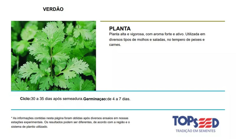 SEMENTES COENTRO VERDÃO TOPSEED 500G