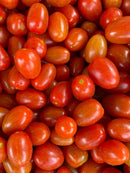 SEM TOMATE GRAPE HIB RED SUGAR  0.5MX - HORTICERES