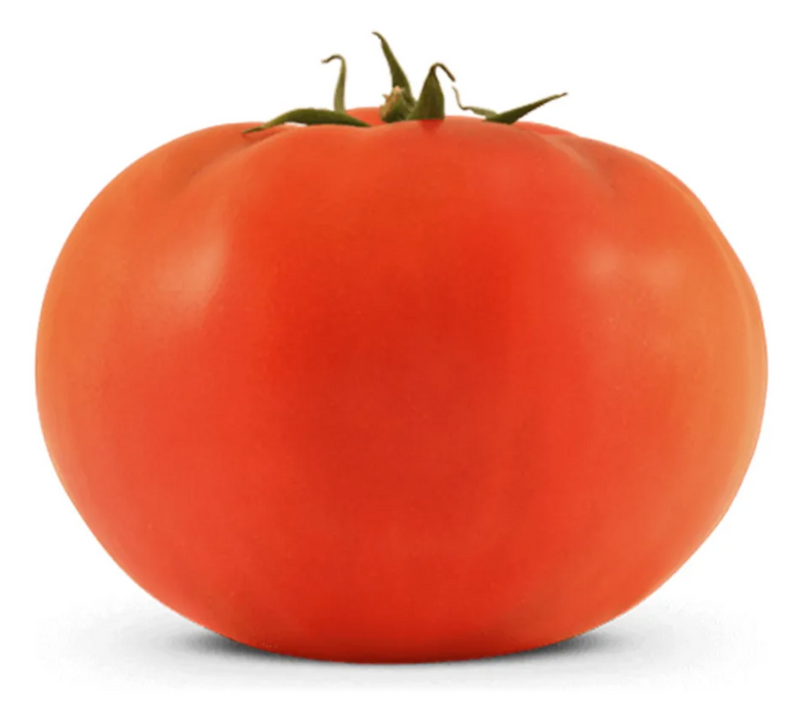 TOMATE HÍBRIDO SUPREMO R BLUESEEDS 1000 SEMENTES