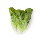 ALFACE MINI ROMANA TUDELA RIJK ZWAAN 1000 SEMENTES