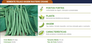 SEMENTES FEIJAO VAGEM MACARRAO RASTEIRA TOPSEED 100G