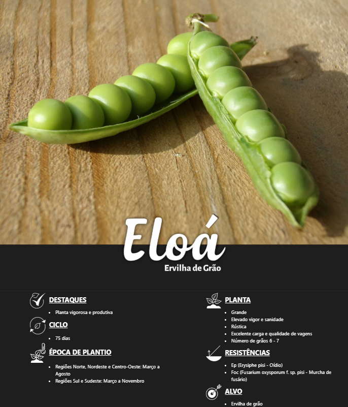 SEMENTES ERVILHA ELOA FELTRIN 100G