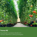 TOMATE HÍBRIDO TRONUS RIJK ZWAAN 1000 SEMENTES