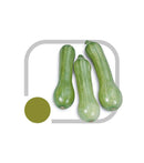 SEMENTES ABOBORA MENINA BRASILEIRA HORTICERES 100G