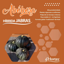 SEMENTES ABÓBORA TETSUKABUTO HÍBRIDA JABRAS 100G