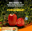 TOMATE HÍBRIDO BRS NAGAI 100 SEMENTES AGROCINCO