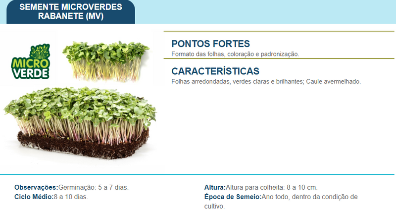 SEMENTES MICROVERDE RABANETE CRIMSON GIGANTE TOPSEED 500G