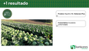 REPOLHO HIBRIDO SOBERANO PLUS HORTICERES 5000 SEMENTES