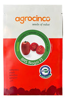 TOMATE HIBRIDO NAGAI AGROCINCO/EMBRAPA 1000 SEMENTES