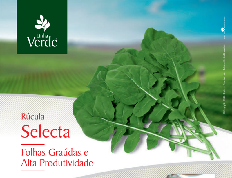 SEMENTES RUCULA SELECTA HORTICERES 500G