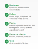 SEMENTES ALMEIRÃO FOLHA LARGA RADICHE HORTICERES 100G