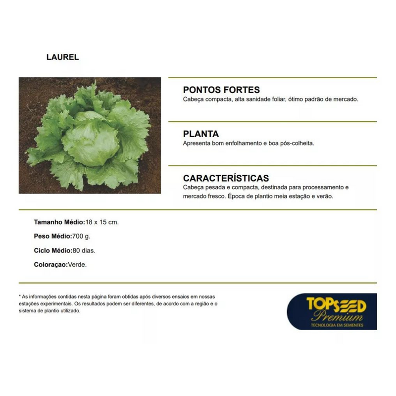 ALFACE AMERICANA LAUREL TOPSEED 250000 SEMENTES