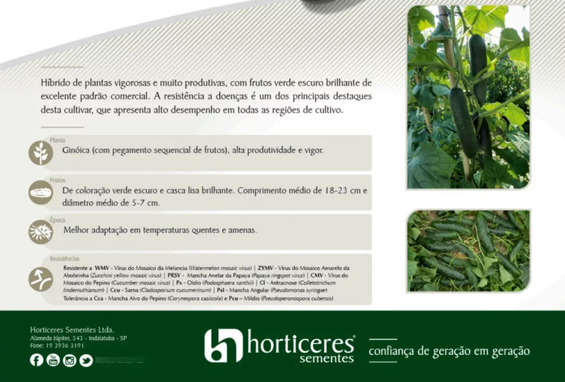 PEPINO HIBRIDO HS1020 HORTICERES 3000 SEMENTES