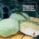 REPOLHO HIBRIDO MIRAI TAKII SEED 2500 SEMENTES