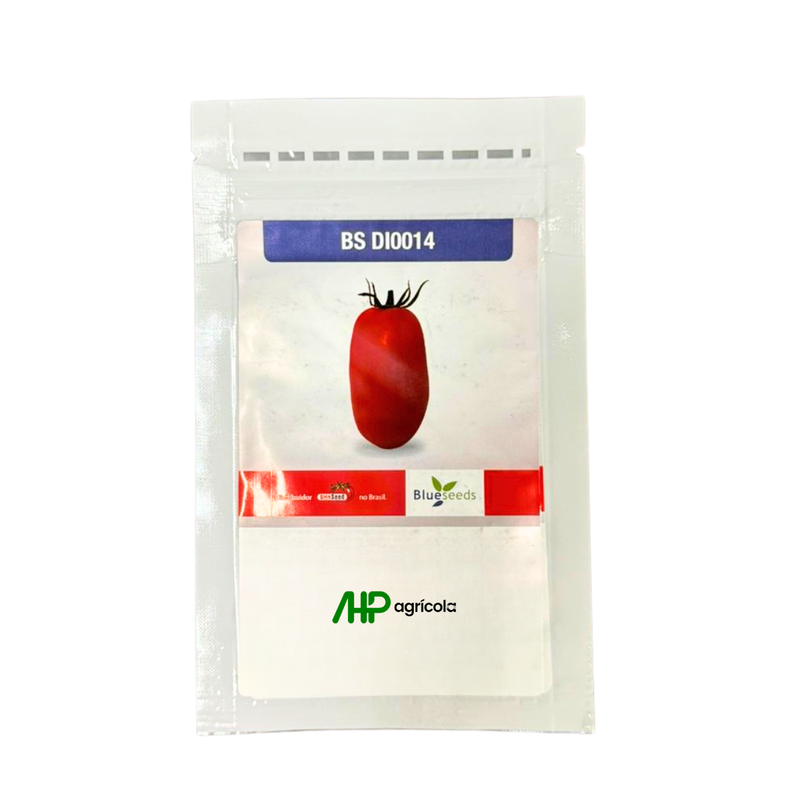 TOMATE ITALIANO HIBRIDO BS DI0014 BLUESEEDS 1000 SEMENTES