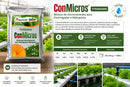 FERTILIZANTE HIDROPONIA CONMICROS STANDARD CONPLANT 4KG
